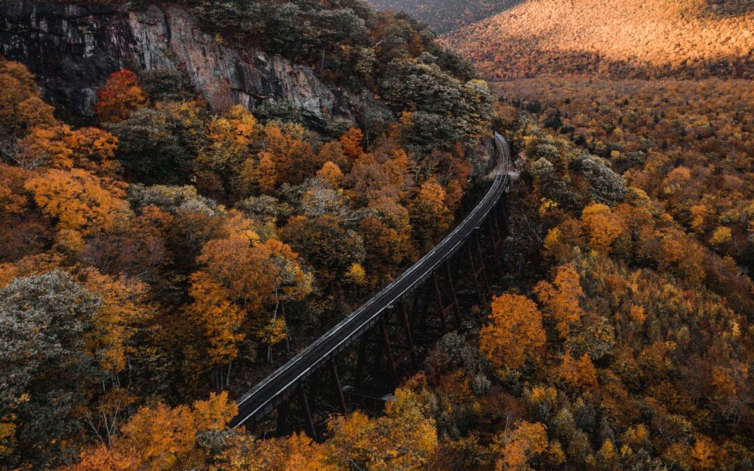 7 Most Beautiful Fall Train Journeys In The Northeast