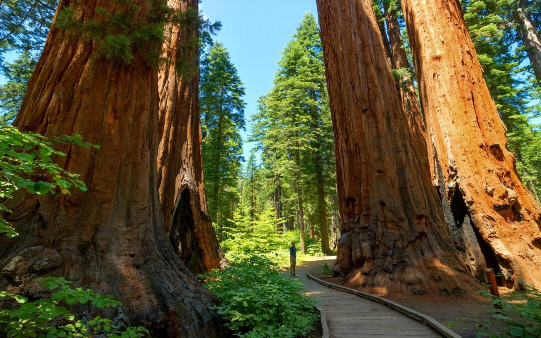 The California State Park That’s A Dead Ringer For Yosemite