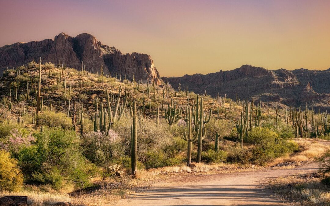 This Is The Best National Park In Arizona For 2025