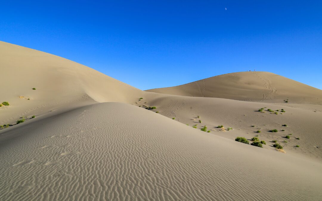 The “Sahara” Of Idaho Has North America’s Tallest Freestanding Dunes